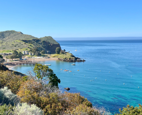 6th-CATALINA-SM_10
