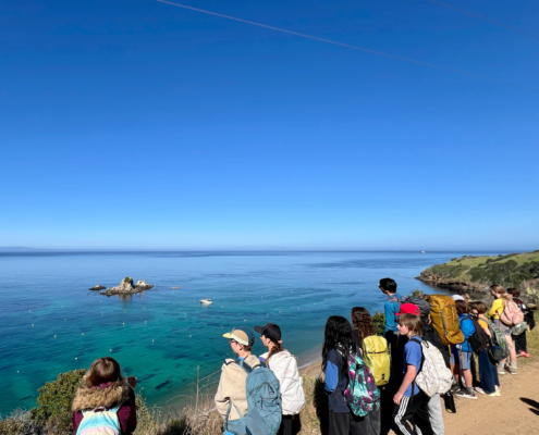 6th-CATALINA-SM_9