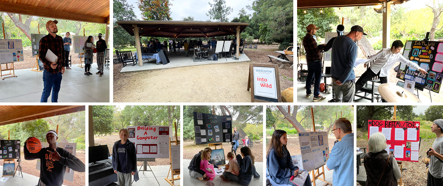 8th Grade Capstone, Into the Wild 8th Grade Capstone, Into the Wild
