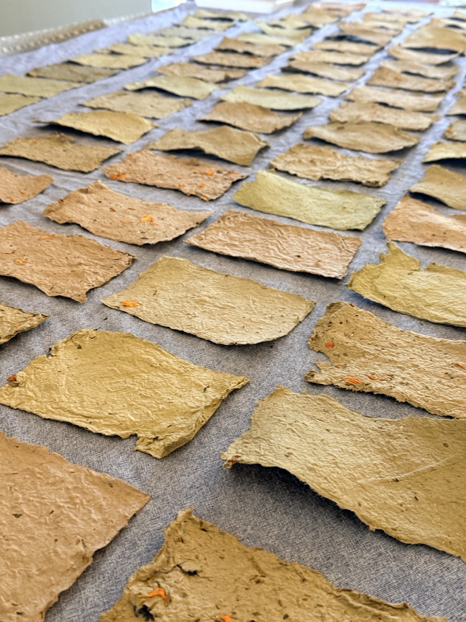 Garden Program, Paper Making