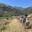 High School students on the trail