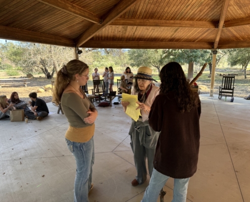 OGS_Theater_Into-the-woods21