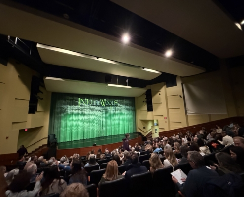 OGS_Theater_Into-the-woods22