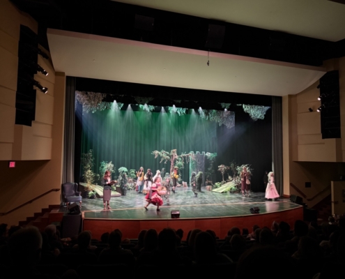 OGS_Theater_Into-the-woods24