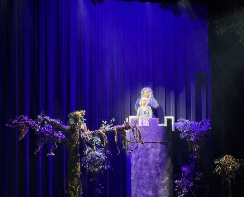 OGS_Theater_Into-the-woods27