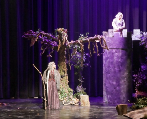 OGS_Theater_Into-the-woods39