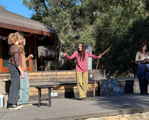 OGS_Theater_Into-the-woods47