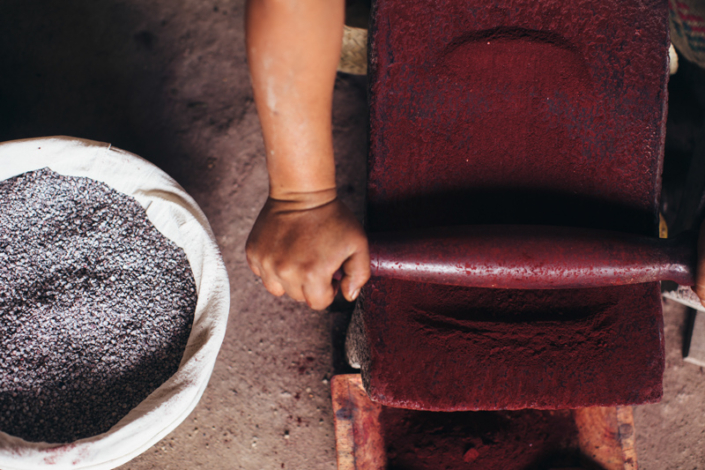 Porfirio Gutierrez-Grinding cochineal by Soraya Matos -edit