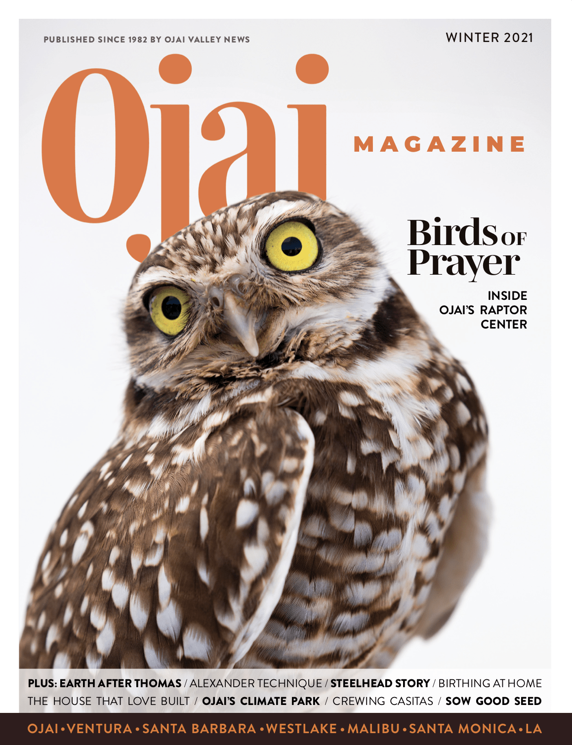 Ojai Magazine
