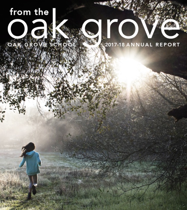 Annual Report 2017-18