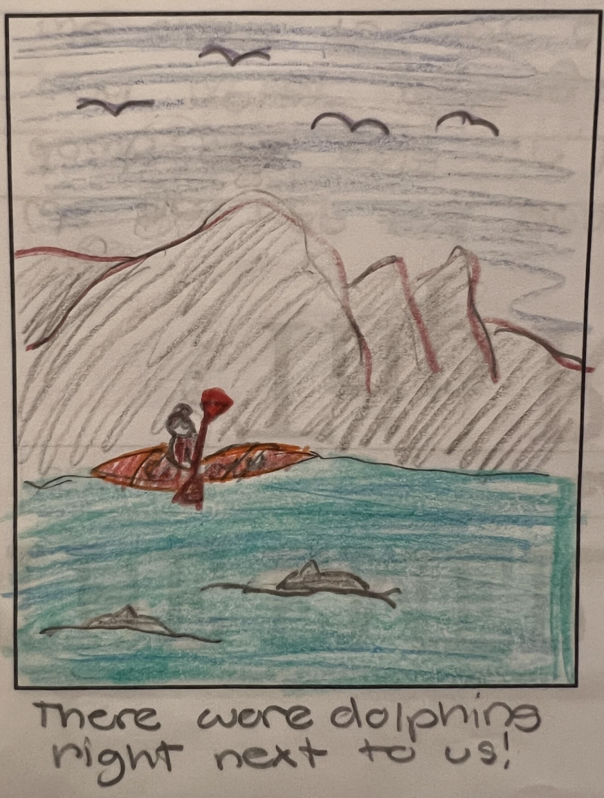 catalina-drawing