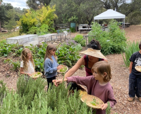 gardening teacher