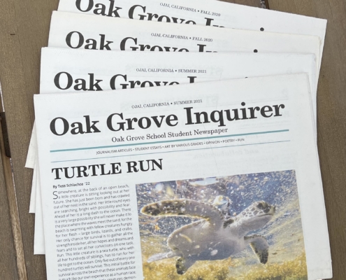 newspaper