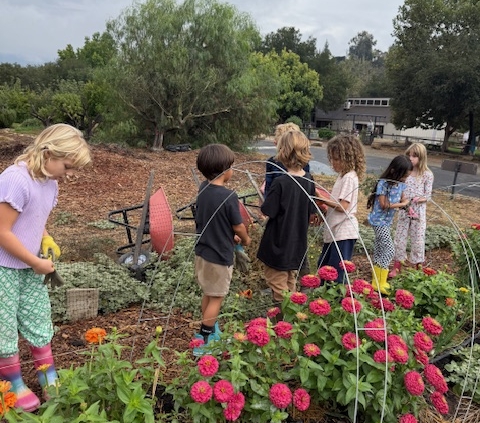 gardening program