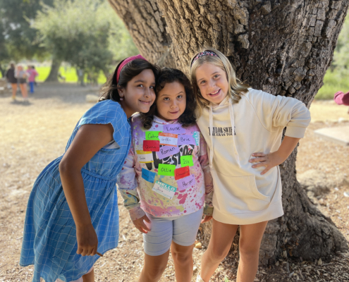 Peace Day, Our Shared Garden of Responsibility