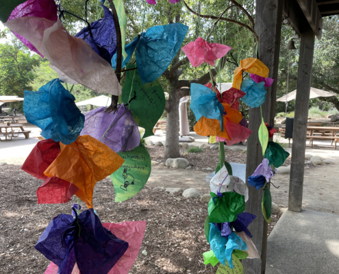 Peace Day, Our Shared Garden of Responsibility