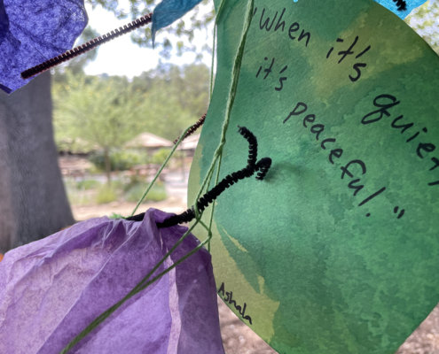 Peace Day, Our Shared Garden of Responsibility