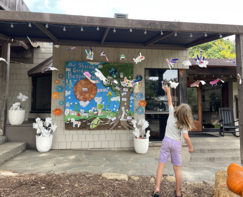 Peace Day, Our Shared Garden of Responsibility