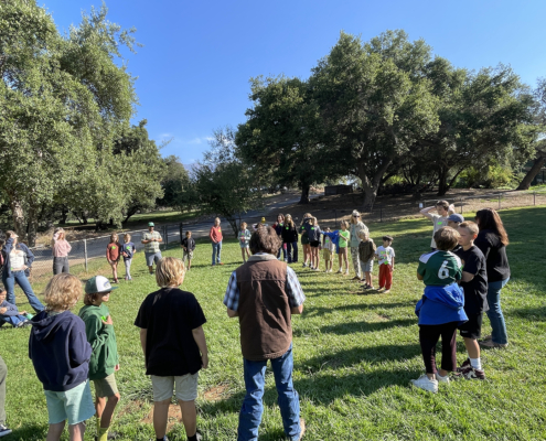 Peace Day, Our Shared Garden of Responsibility