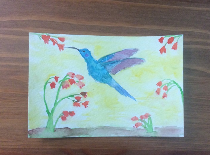 showcase-josie-Hummingbird Watercolor
