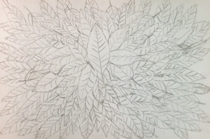 showcase-josie-Leaf Design