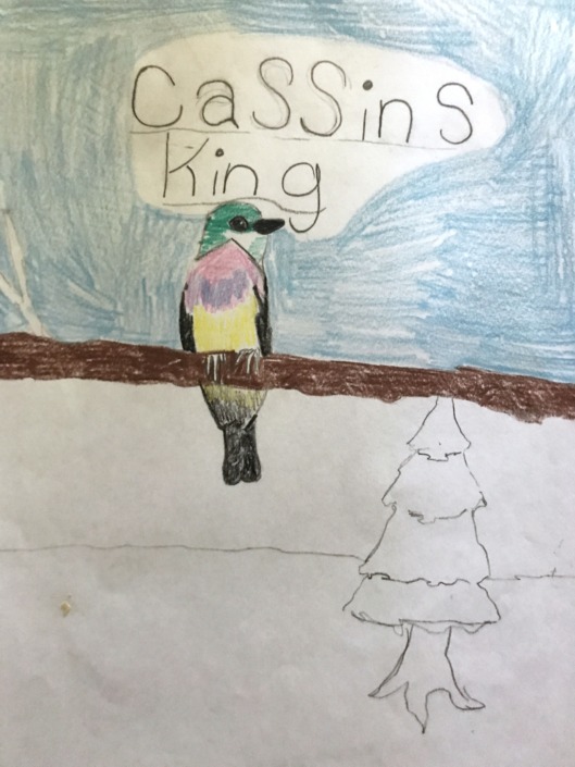 showcase-liam-Cassins king