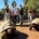 Service Learning Turtle Conservancy