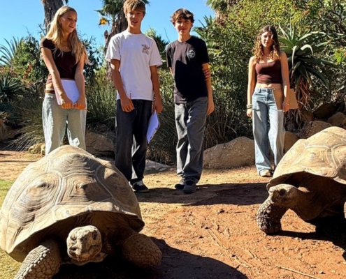 Service Learning Turtle Conservancy